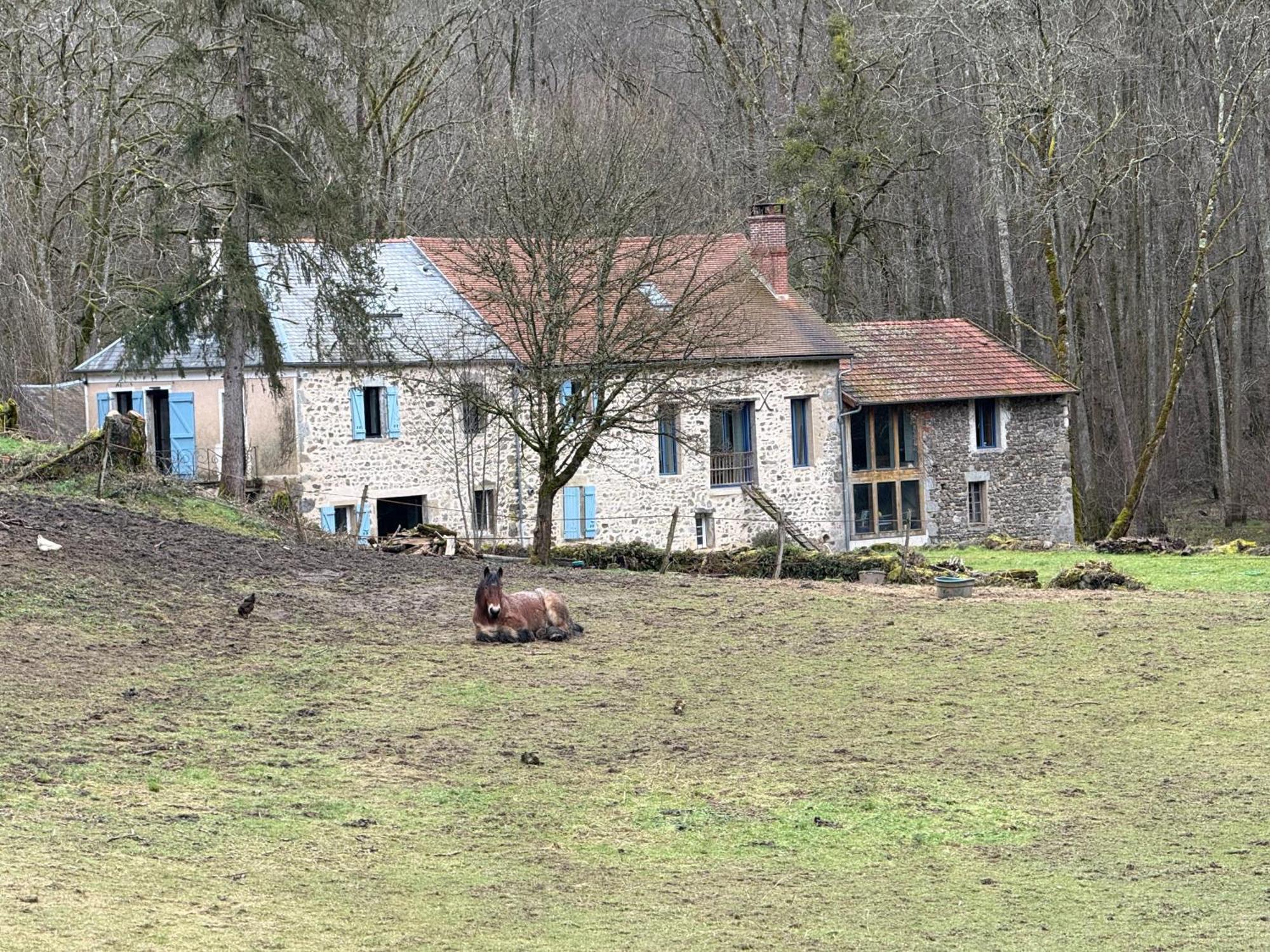Gite De La Fontaine Saint-Andre-en-Morvan Екстериор снимка